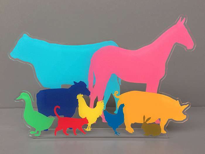 fermalibro plexiglass stampato